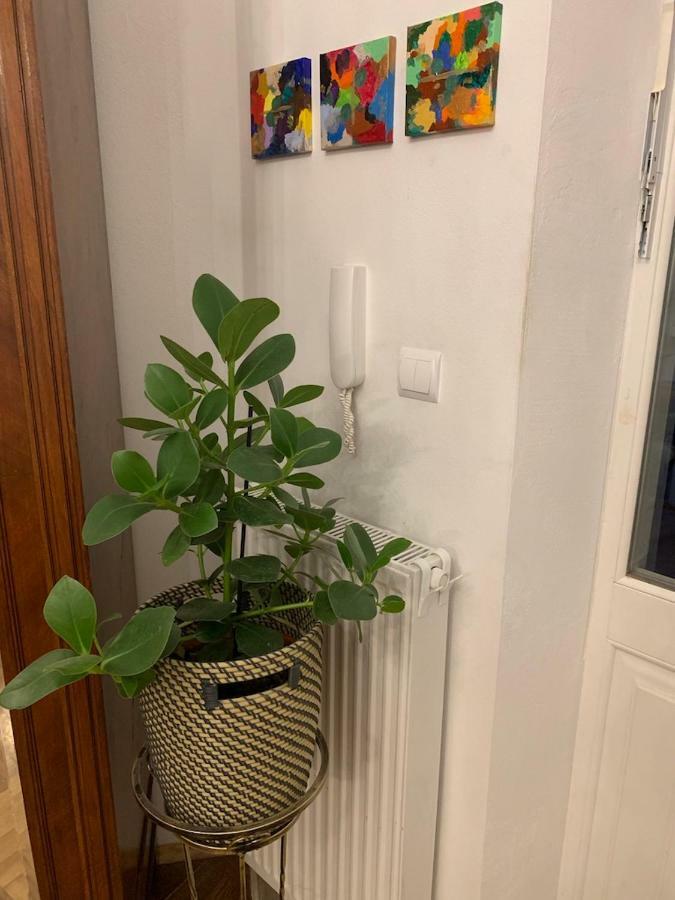 קרקוב Charming Studio Apartment In The Heart Of The Jewish District! מראה חיצוני תמונה